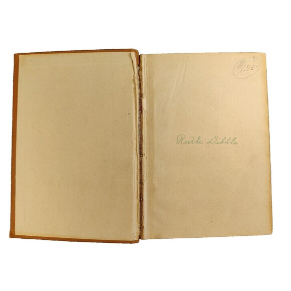 Antique Michigan State & Local Government HC Book WJ McKone 1921 edition - Picture 12 of 13